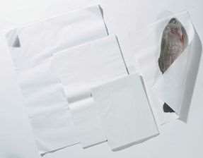 Image de PAPIER INGRAISSABLE 32X50 / 10KG