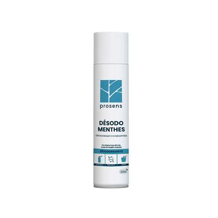 Image de AEROSOL MENTHE 520ML