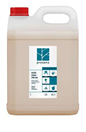 Image de ELEIS DSM X 5L