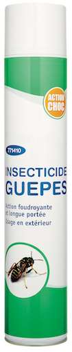 Image de AEROSOL INSECTIS LONGUE PORTEE 750ML