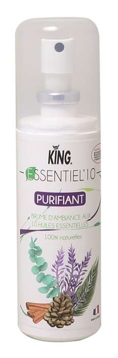 Image de ASSAINISSANT ESSENTIEL10 DESODORISANT 100ML